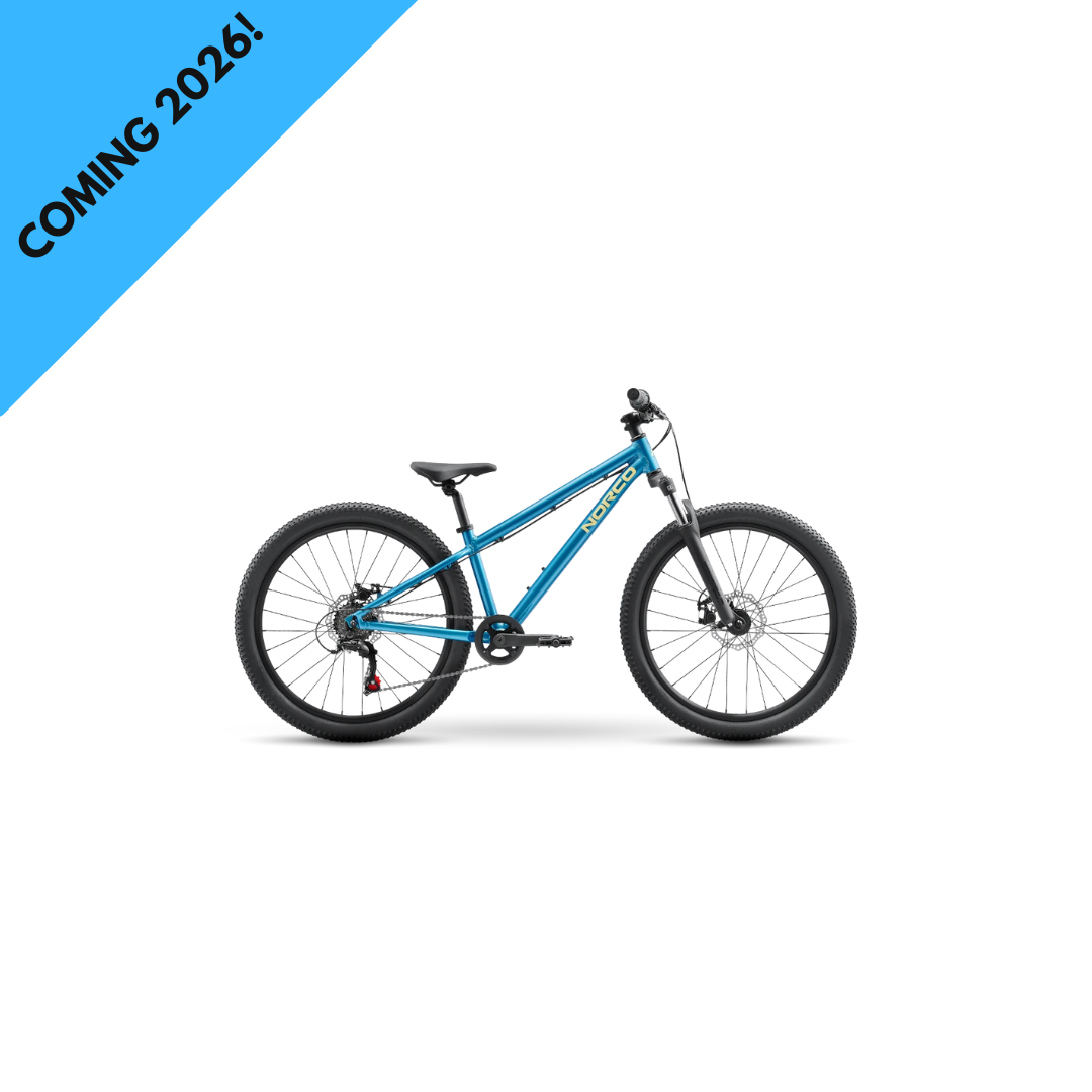 Mountain Bike 20”& 24”