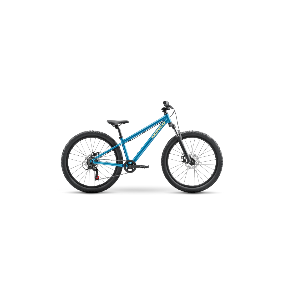 Mountain Bike 20”& 24”