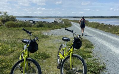 #3 SALT MARSH TRAIL TO LAWRENCETOWN BEACH by Bike – 1/2 DAY TO FULL DAY