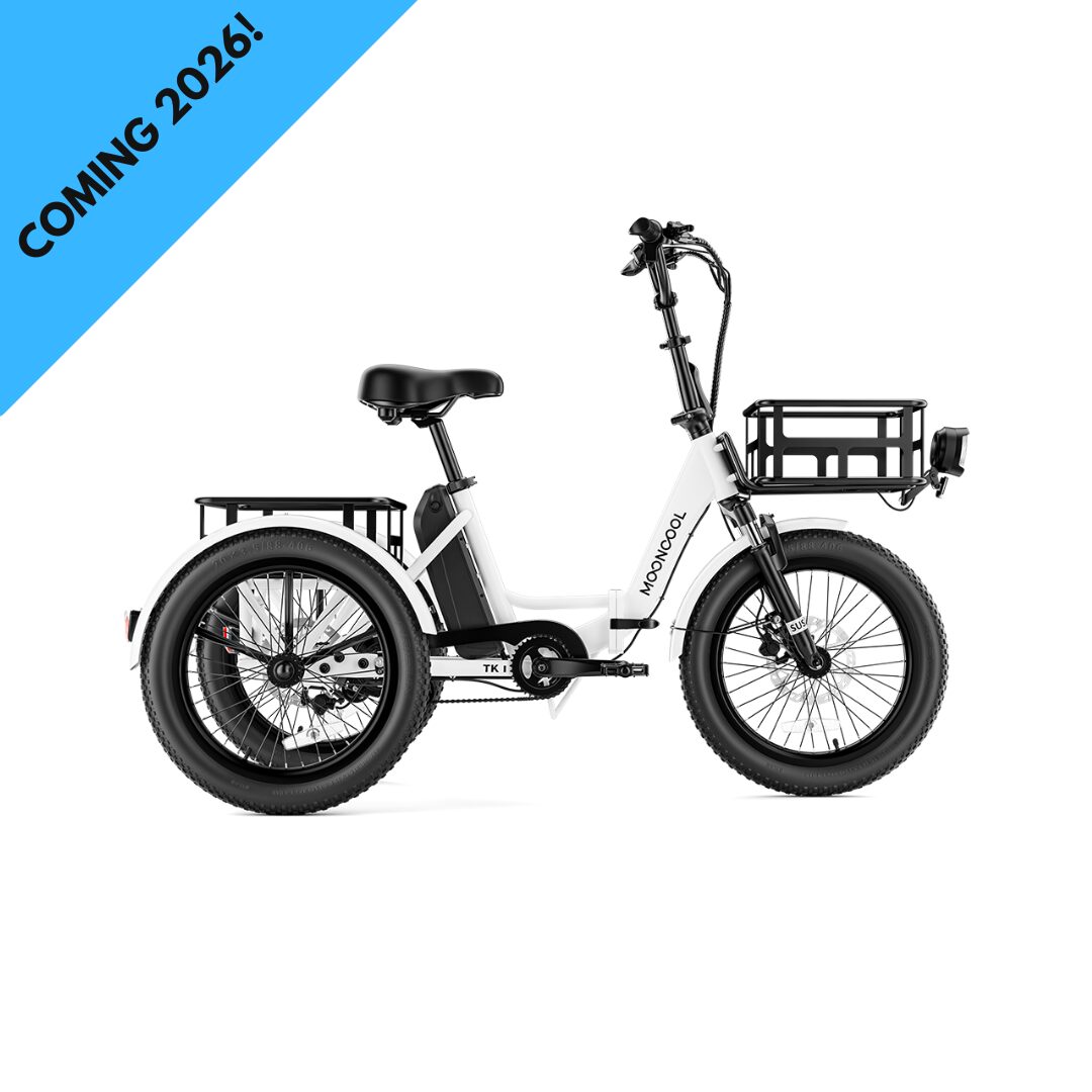 ADULT E-TRICYCLE